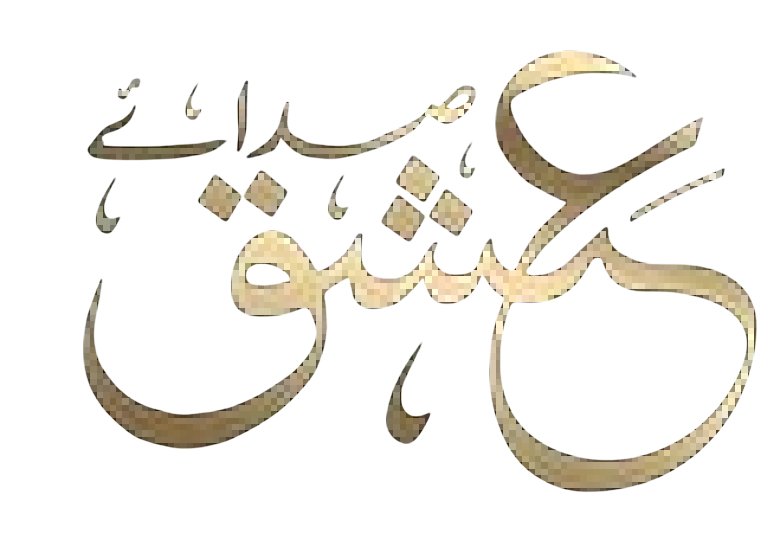 SADA-E-Ishq work 5