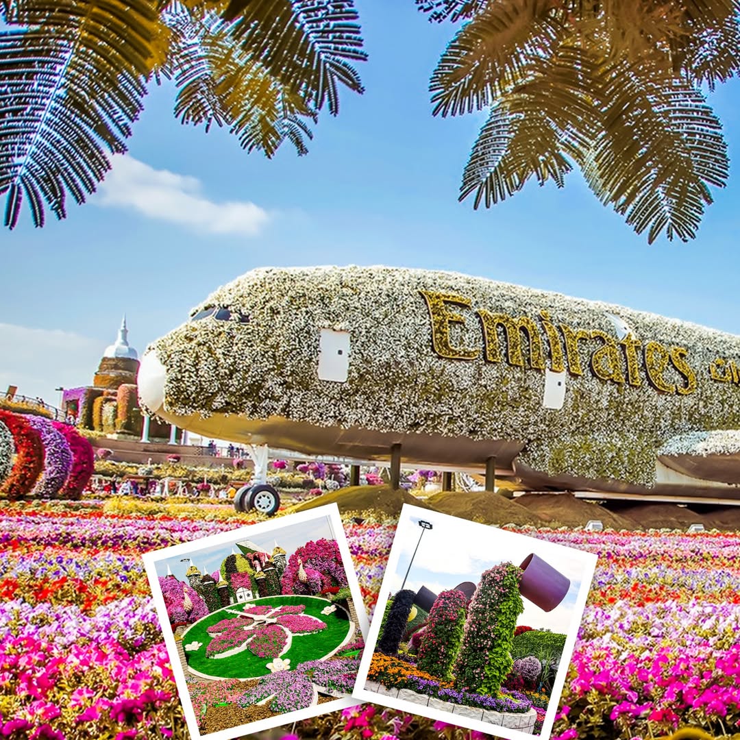 Cosmic Travels and Tours UAE work 7